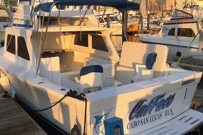 Deep Sea Fishing for 5 Hours from Cabo San Lucas - Why Cabo is a serious fishing destination