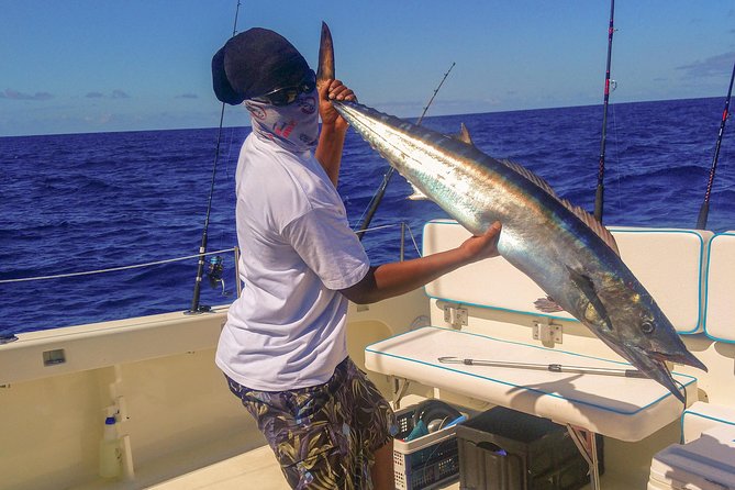 Deep Sea Fishing Half-Day - When fishing slows, the trip can change course