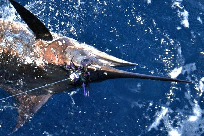Deep Sea Fishing Private Boat Charter in San Juan - Why the private price can make sense