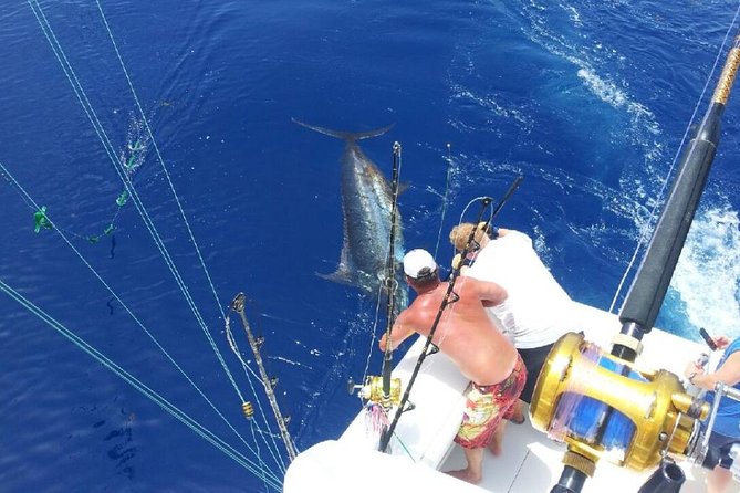 Deep Sea Fishing Tour - Key points to know before casting off
