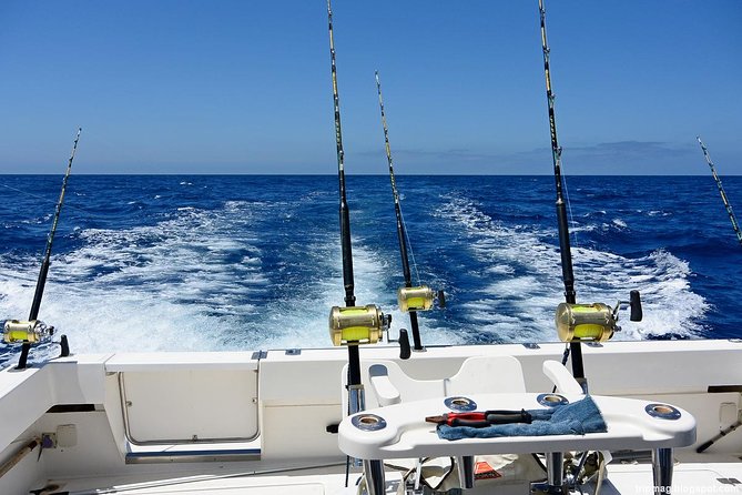 Deep Sea Fishing Tour - What the Punta Cana fishing morning is really like