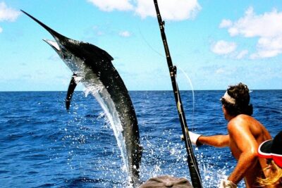 Deep Sea Fishing Tour