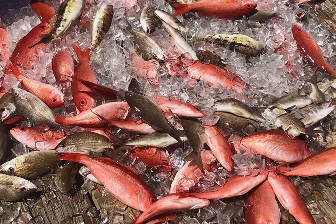 Destin: Party and Walk-On Fishing trip - How bottom fishing works on this trip