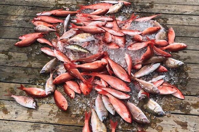 Destin: Party and Walk-On Fishing trip - What happens to your catch