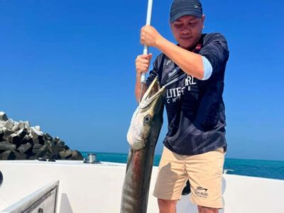 Dubai: 4-Hour Deep-Sea Fishing Cruise