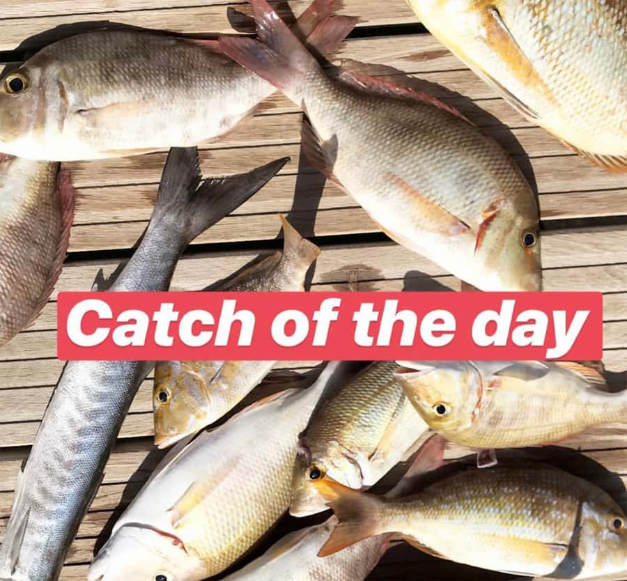 Dubai: 4-Hour Private Deep Sea/Trolling Fishing Trip - A good outing for families and mixed skill levels