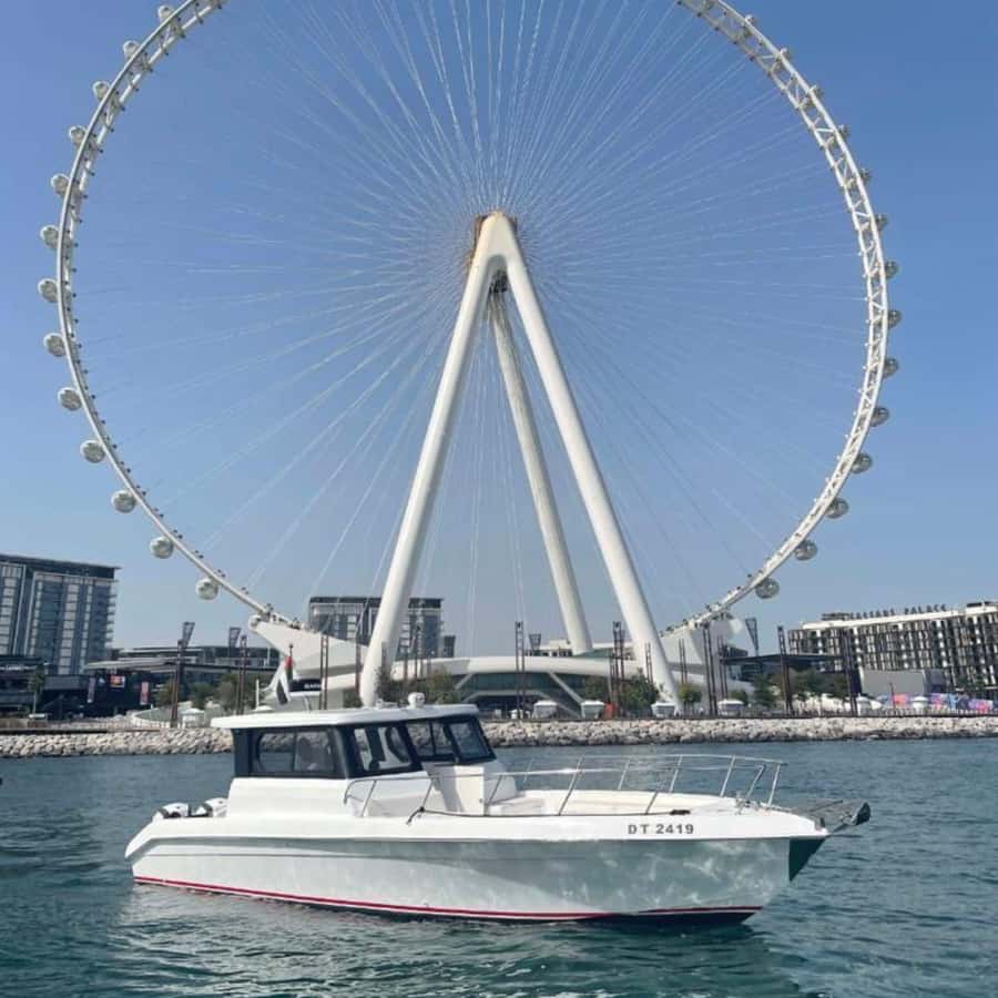Dubai:Best Fishing Trip-4Hours - What four hours of fishing really gives you