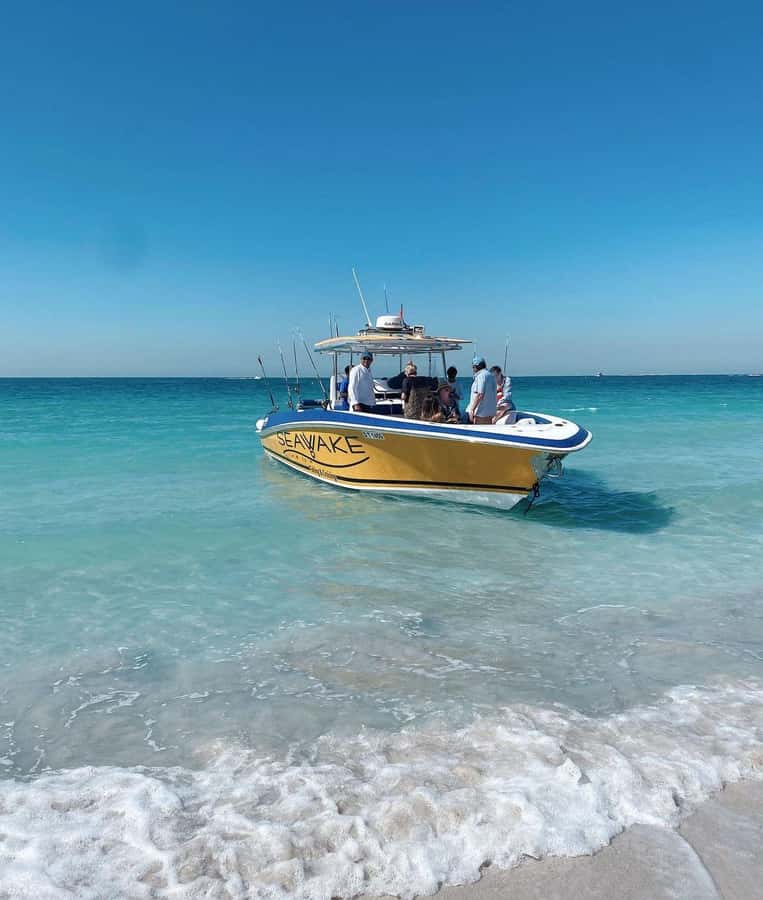 Dubai's BEST Fishing Charter – No Fish, No Pay! - Keeping the catch and caring for the sea