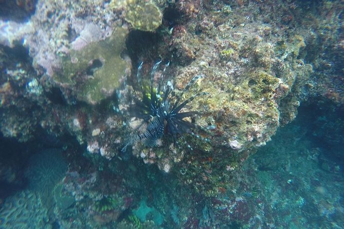 East Bali Spear Or Line Fishing Tour At Virgin Beach - The long ride from your hotel to East Bali