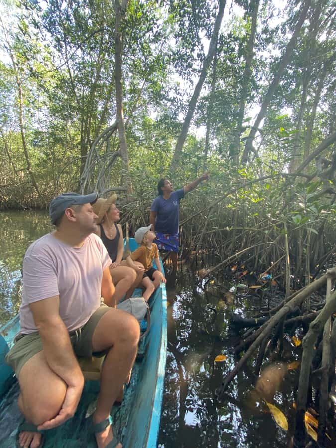 El Paredón: Mangrove Boat Tour with Optional Fishing - Entering El Paredón’s third-largest mangrove ecosystem