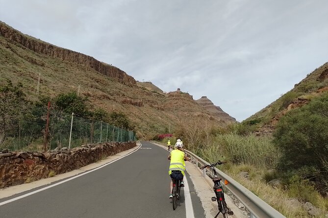 Electric Bike Panoramic South Coast Tour Optional Fishing Tapas - Who will enjoy this ride most
