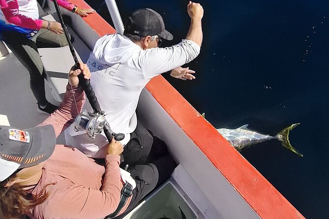 Enjoy the sport fishing paradise in Loreto, BCS - Whale and dolphin sightings along the way