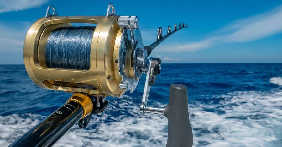 Estepona: Fishing Tour StartFisher 1060 - What the Starfisher 1060 means for your day