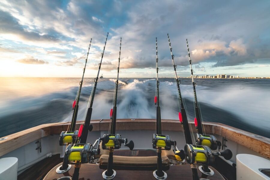 Estepona: Fishing Tour StartFisher 1060 - Serious equipment without bringing your own tackle