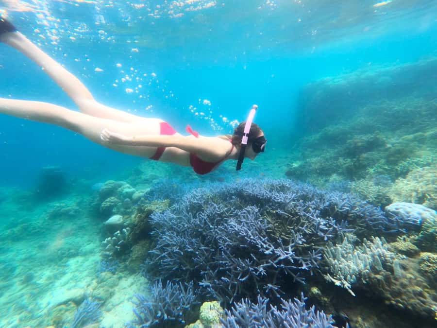 Exclusive Lombok Fishing & Snorkeling Tour Across 4 Gilis - Who Will Get the Most From This Tour?