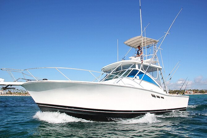 Explore 4H of Private Deep Sea Fishing in Punta Cana - Key points at a glance