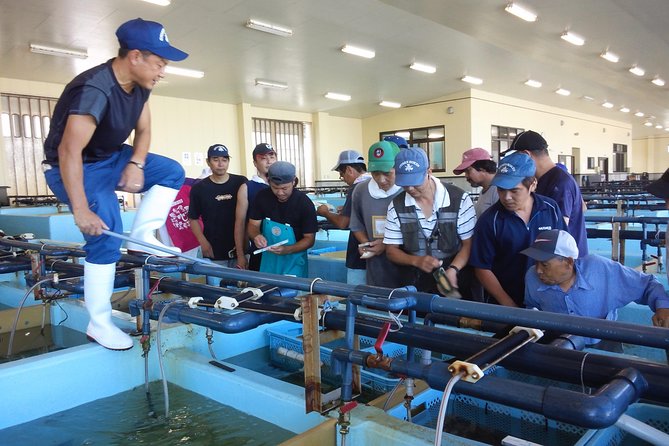Explore Fishermen Island in Japan(Ise-Shima) - The Fish Market, With an Important Calendar Warning