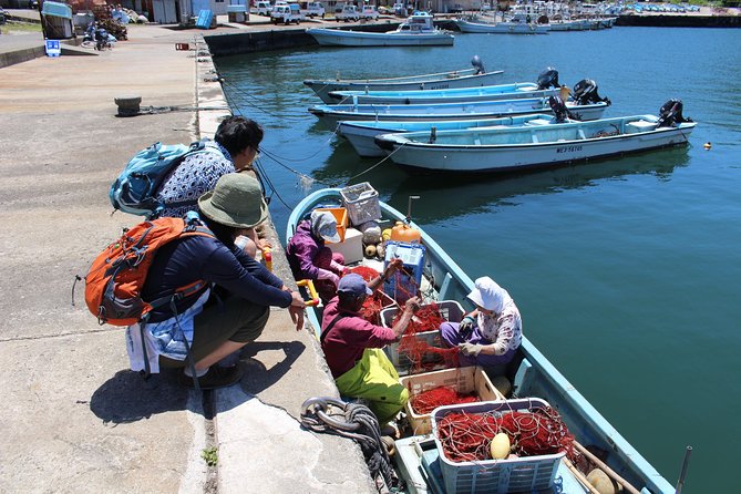 Explore Fishermen Island in Japan(Ise-Shima) - Seafood Lunch at a Local Restaurant