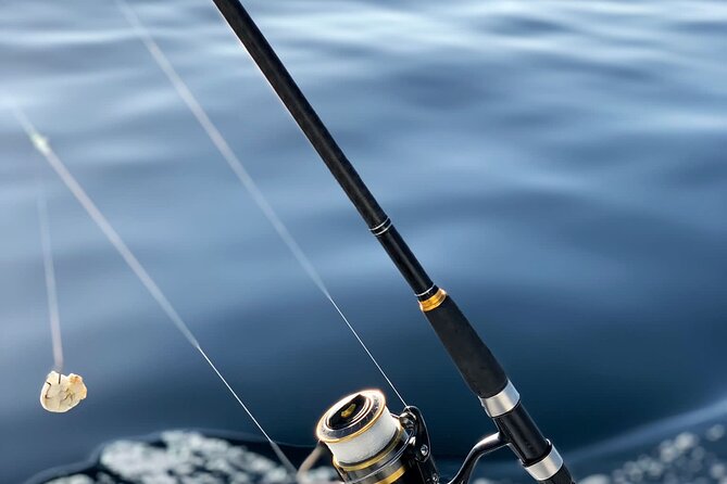 Explore Sesimbra Sports Fishing - Setting out from Sesimbra at 8:00 am