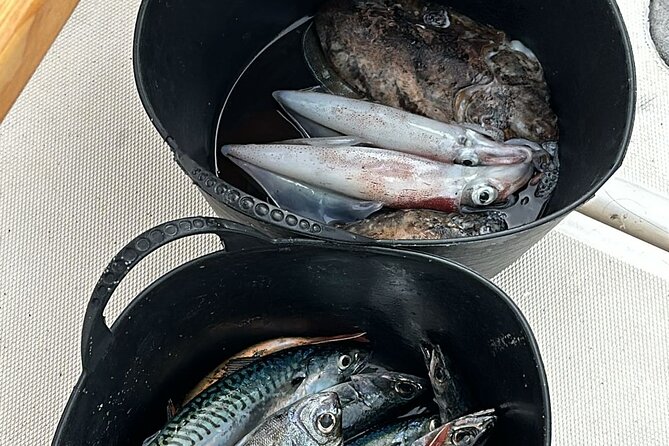 Explore Sesimbra Sports Fishing - Dolphins, beaches, and forts along the coast