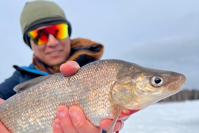 Fairbanks Ice Fishing with Transportation - How the $190 price compares with the experience