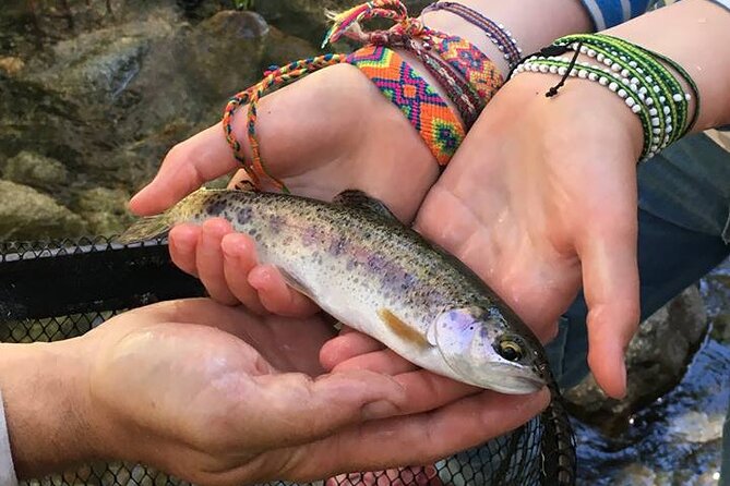 Family Fun Private Half Day Fly Fishing Adventure - Key points to know before you book