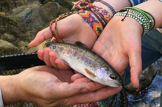 Family Fun Private Half Day Fly Fishing Adventure - Pickup points and the Yosemite entrance detail