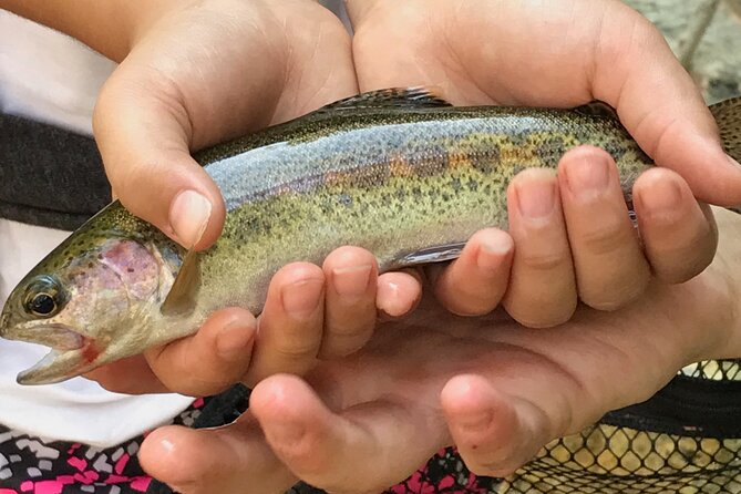 Family Fun Private Half Day Fly Fishing Adventure - Who will enjoy this most