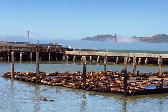 Fisherman’s Wharf Highlights Tour + Golden Gate Bay Voyage - Five things to know before you book
