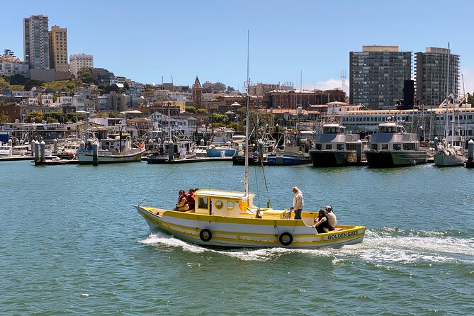 Fisherman’s Wharf Highlights Tour + Golden Gate Bay Voyage - Pier 39 and the sea lions