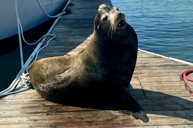 Fisherman’s Wharf & Pier 39 Food Tour - Includes Full Meal, 3 hrs - Pier 39, seafood, and the famous sea lions