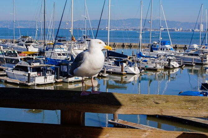 Fisherman’s Wharf & Pier 39 Food Tour - Includes Full Meal, 3 hrs - Who will enjoy this food walk most