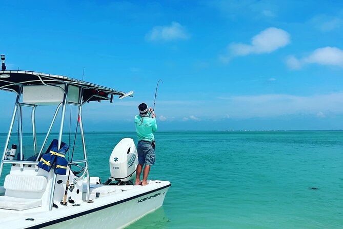 Fishing Adventure in Clearwater - What you might catch around Clearwater