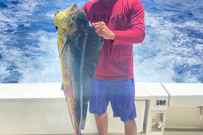 Fishing And Eating Straight From The Sea ( SAONA ISLAND AND PALMILLA) - Offshore fishing before the swim stop
