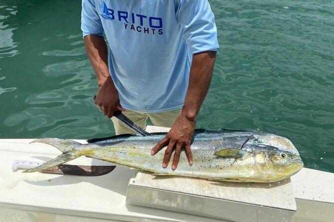 Fishing And Eating Straight From The Sea ( SAONA ISLAND AND PALMILLA) - What the yacht’s comforts mean in practice