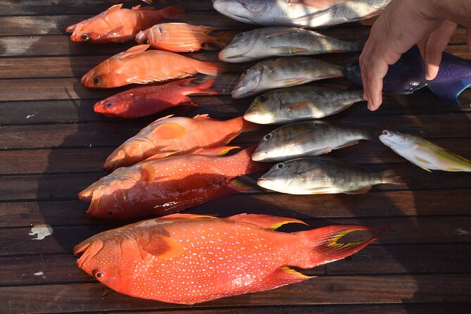 Fishing and Snorkelling by Speedboat Tour - Hurghada - A fast start from your Hurghada hotel