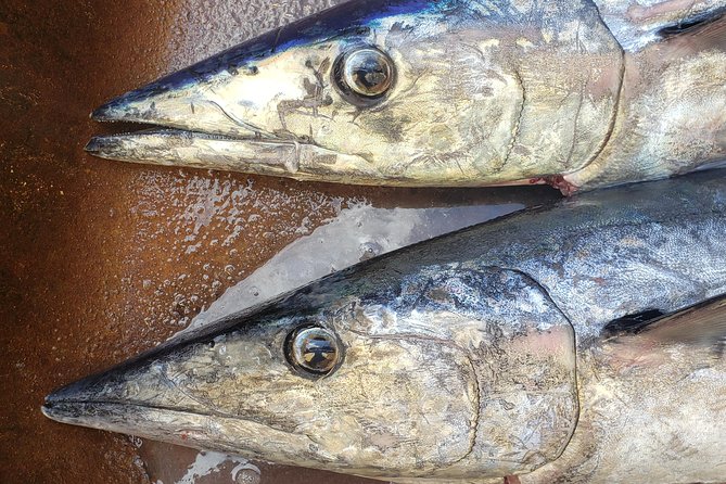 Fishing Charter 8 Hours - Is $1,600 a fair price?