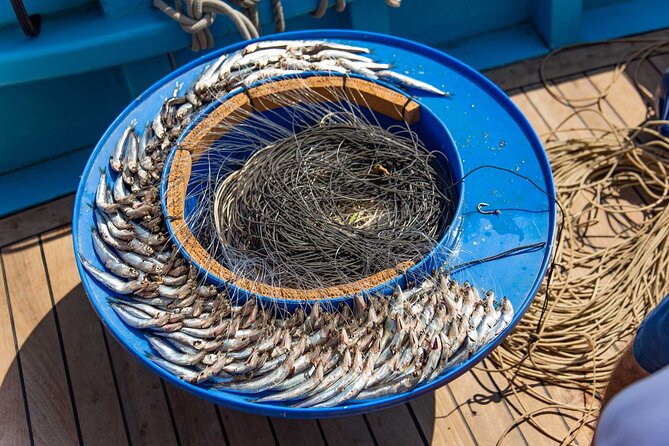 Fishing Experience Around Capri from Sorrento with Lunch Onboard - What this Sorrento fishing day is really like