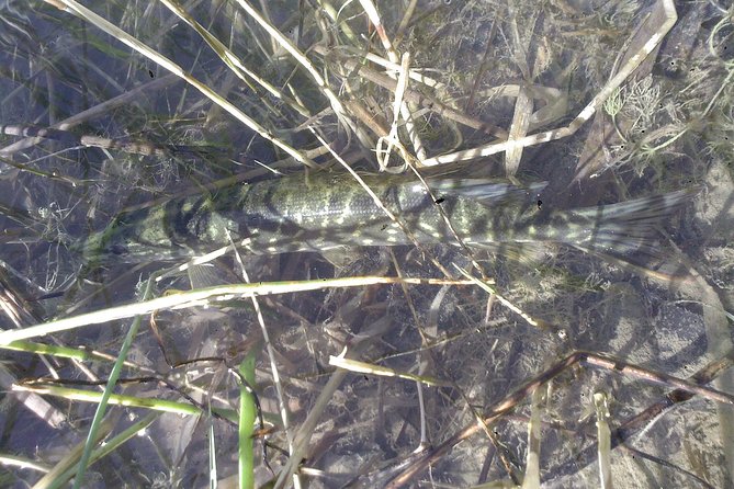 Fishing in Provence - Preparing the Rods and Learning to Cast
