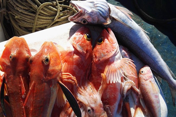 Fishing in the Bay of Sorrento and Capri - Swimming and lunch in the Capri area