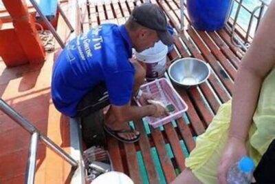 Fishing & Island Lunch Cruise from Koh Samui – Catch & Relax