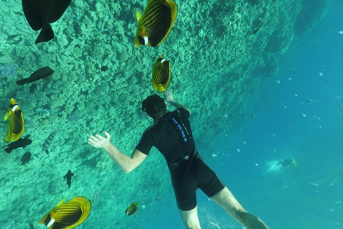 Fishing Private Speed Boat Sea Trip with Transfer - Hurghada - Costs, extra fees, and cancellation