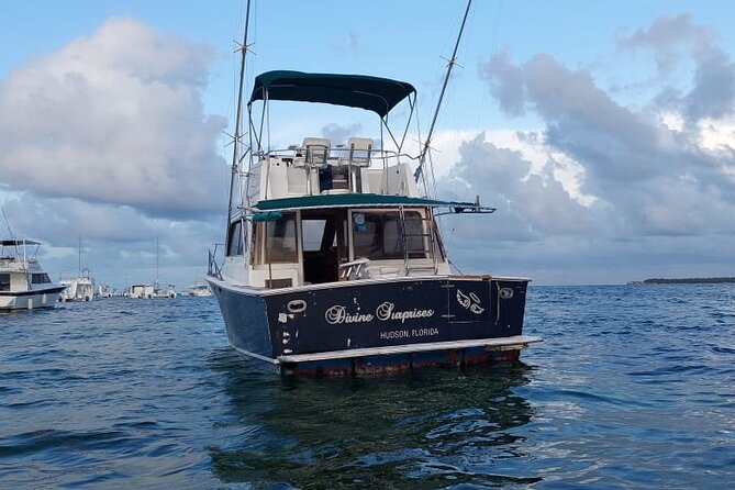 FISHING PRO CHARTERS - Boat Excursion - Divina - Who will enjoy this trip most