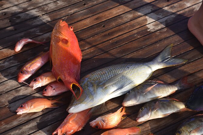 Fishing & Snorkeling Sea Trip by Speed Boat and Transfer-Hurghada - Fishing with bait and supplied equipment