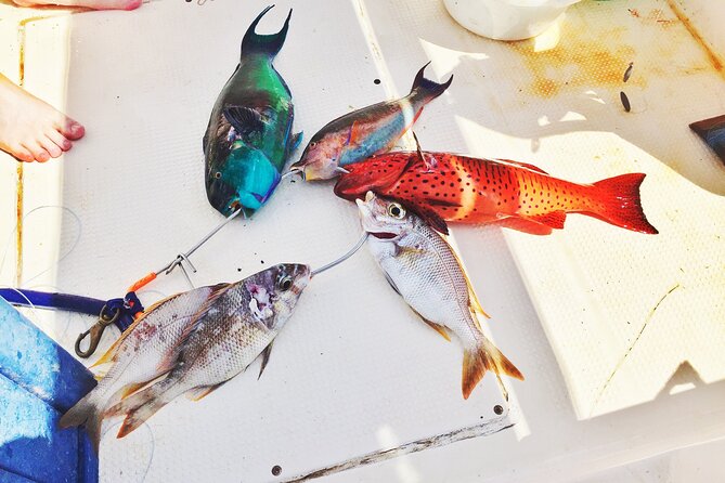 Fishing & Snorkeling Sea Trip by Speed Boat and Transfer-Hurghada - Snacks, fruit, and drinks on board