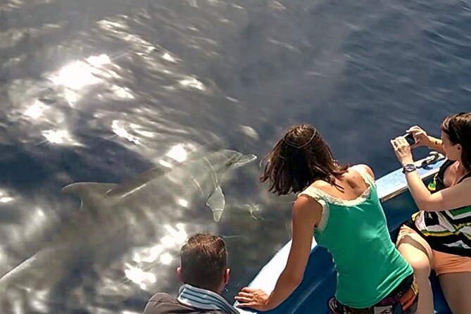 Fishing, Snorkelling & Dolphin Boat Tour - Fishing, snorkeling, and wildlife watching in one outing