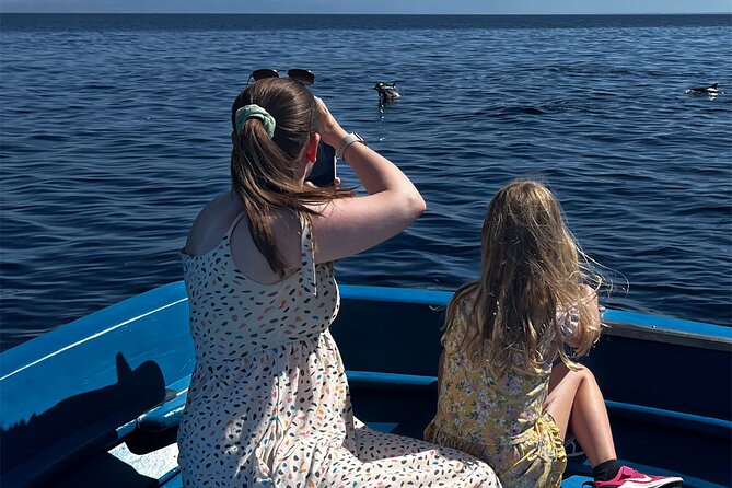 Fishing, Snorkelling & Dolphin Boat Tour - Is this a good choice for families?