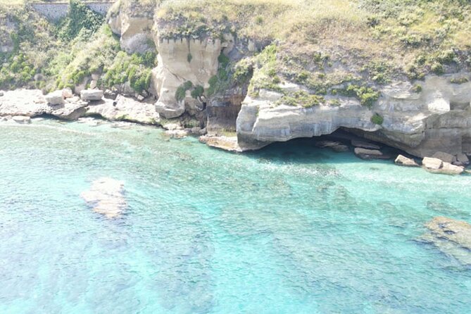 Fishing, Snorkelling & Dolphin Boat Tour - Why a 12-person limit matters