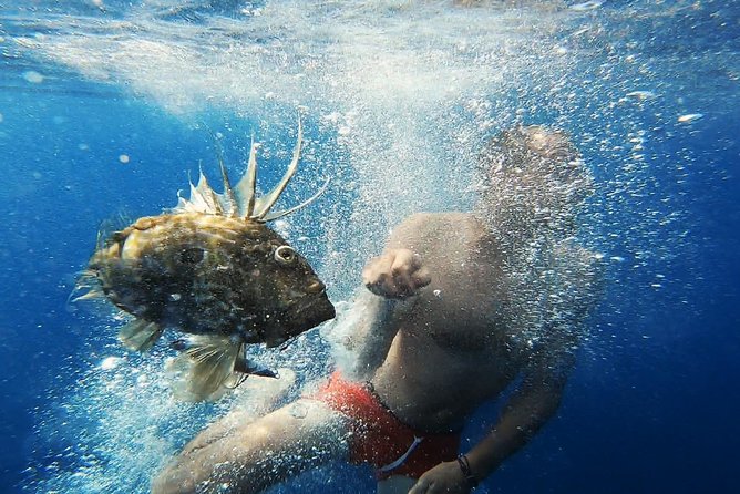 FISHING Tour to VIS and BIŠEVO Islands - Full Day Experience - Who will enjoy this day most?