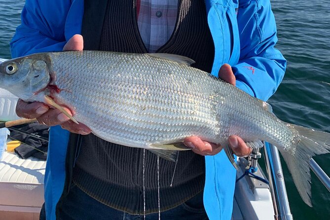 Fishing Tour with a Fishing Boat at Lake Constance (Untersee) - A quick route from Ermatingen to the fishing grounds